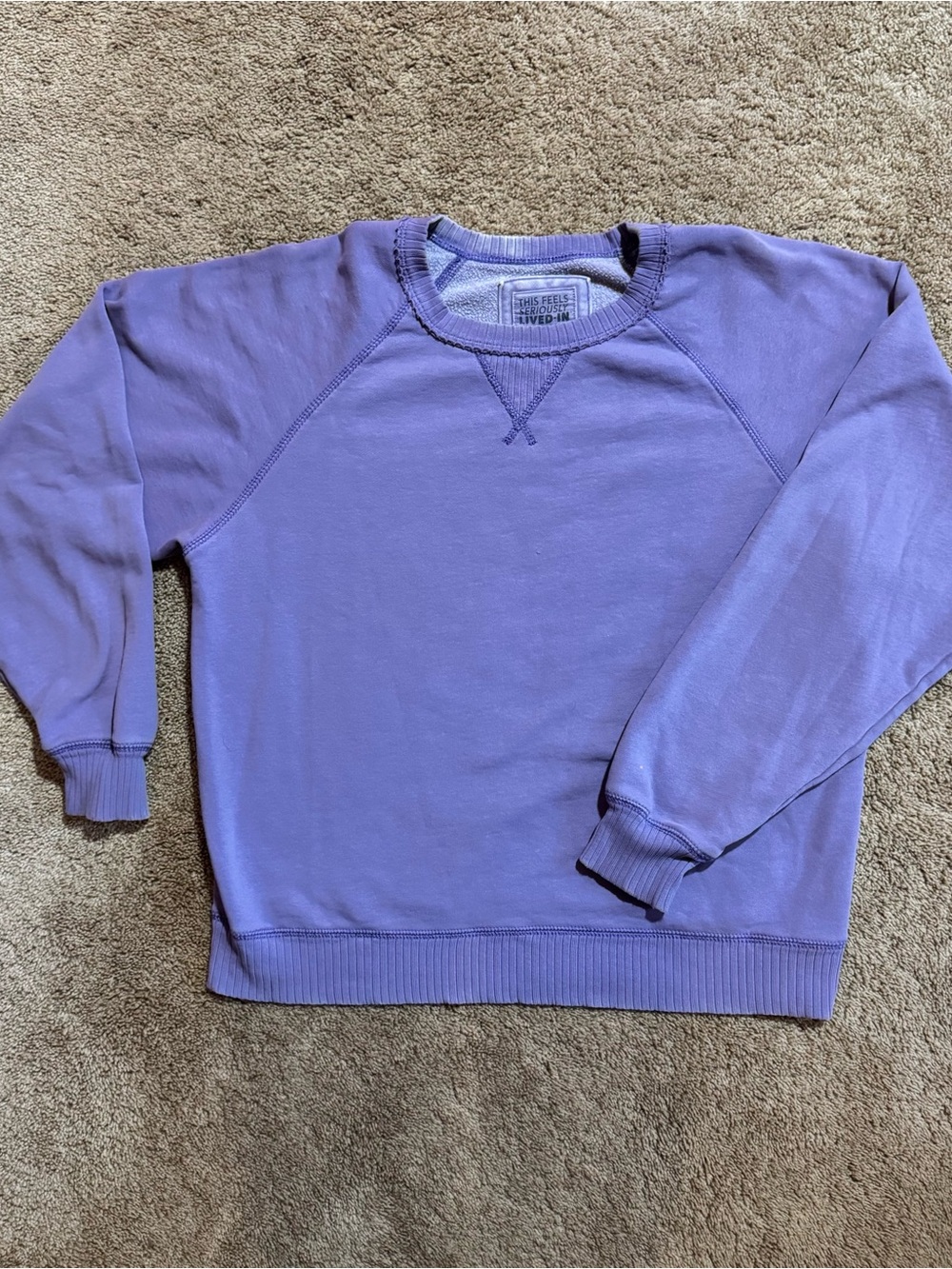 Cozy American Eagle purple sweatshirt 💜 Seriously Lived In